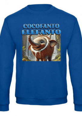 Παιδικό φούτερ Cocofanto Elefanto