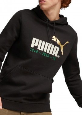 Μπλούζα Μακρυμάνικη Puma Logo Celebration Hoodie FL 676021-01 Ανδρικό