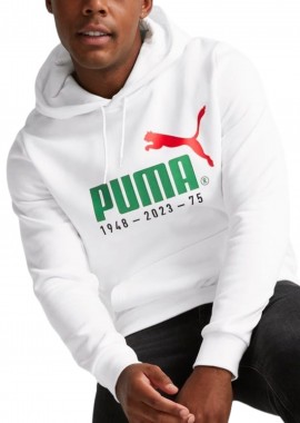 Μπλούζα Μακρυμάνικη Puma Logo Celebration Hoodie FL 676021-02 Ανδρικό