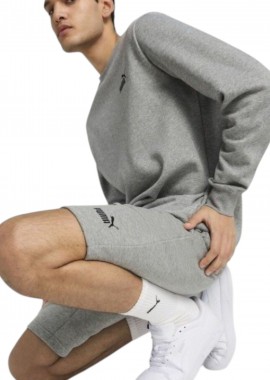Σορτς Puma Logo Shorts 10 682596-03 Ανδρικό