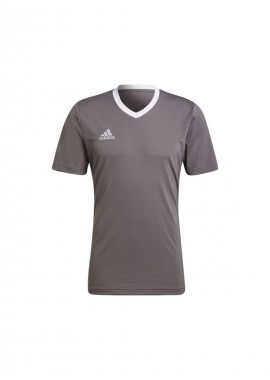 Adidas Entrada 22 Ανδρικό T-shirt Team Grey Four Μονόχρωμο HE1574