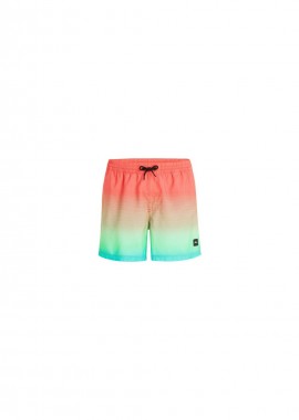 O'Neill Jack Cali Gradient 15'' Swim Shorts M 92800613575
