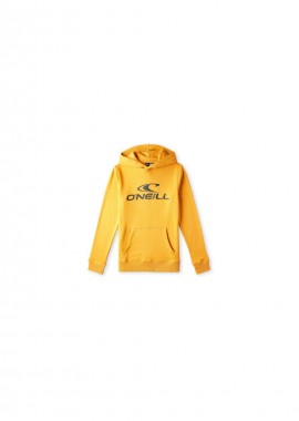 O'Neill Logo Hoodie Jr 92800615006