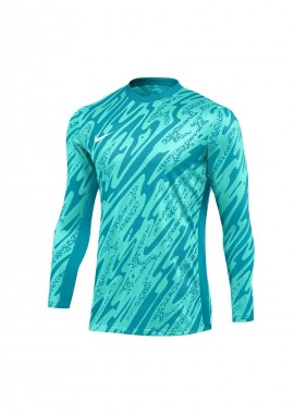 Nike Gardien V Goalkeeper DF V sweatshirt FD7474354
