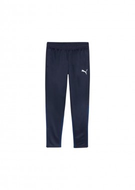 Puma Team Goal Training Pants M 658639 06