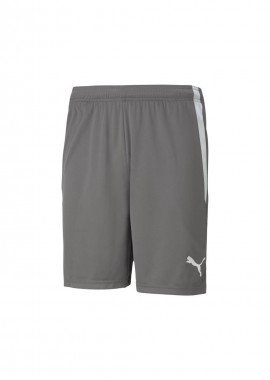 Puma teamLIGA M 704924 13 shorts