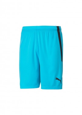 Puma teamLIGA M 704924 40 shorts