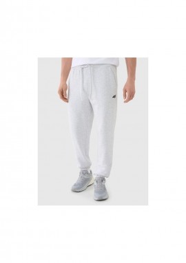 Men's jogger sweatpants 4F 4FWMM00TTROM113927M