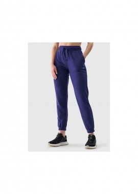 Women's jogger sweatpants 4F 4FWMM00TTROF113831S
