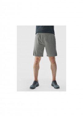 Men's 4F quickdrying regular training shorts 4FWAW24TFSHM69725M