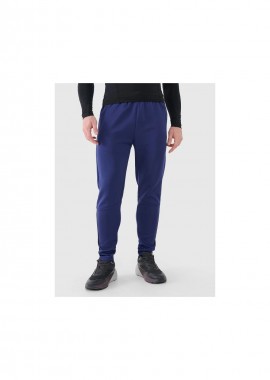 Men's quickdrying training pants 4F 4FWSS25TFTRM083630S