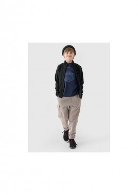 Regular fleece with standup collar for boys 4F Junior 4FJWMM00TFLEM24520S