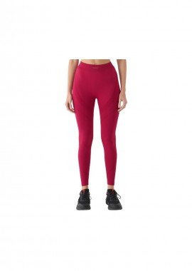 Leggings 4F FNK W 4FRAW24TFTIF389 60S