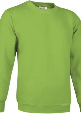 Φούτερ DUBLIN Valento SUVACCAVM Apple Green