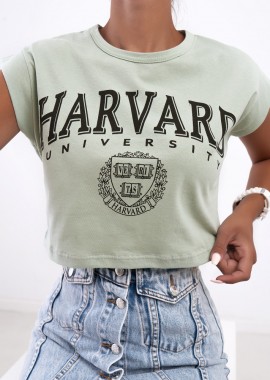 HARVARD MINT CROP TSHIRT