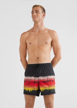 HORIZON SWIM SHORTS 15