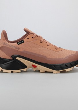 WOMEN'S SALOMON ALPHACROSS 5 GORE-TEX ΡΟΖ