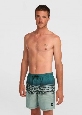 O'NEILL - O'NEILL LOGO STRIPE 16'' SWIMSHORTS ΠΡΑΣΙΝΟ