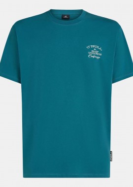 O'NEILL BEACH CHEST PRINT T-SHIRT ΠΡΑΣΙΝΟ