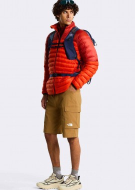 The North Face ανδρικό σορτς cargo 