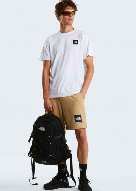 THE NORTH FACE - The North Face ανδρικό σορτς