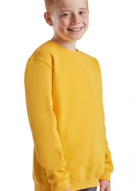 Παιδικό Φούτερ Set-In Sweat 62-031-0 Fruit of the Loom Sunflower