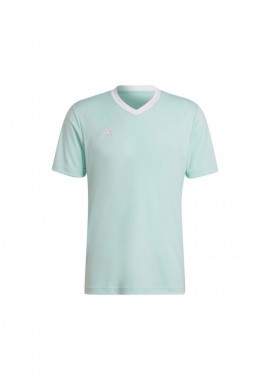 adidas performance - Adidas Entrada 22 Ανδρικό T-shirt Clear Mint Μονόχρωμο HC5073