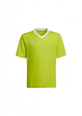 adidas performance - Adidas Παιδικό T-shirt Πράσινο HC5079