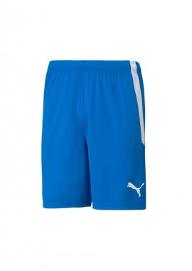 Puma - Puma Team Goal 23 704262-02 Ανδρικό Σορτς Εμφάνισης Ποδοσφαίρου