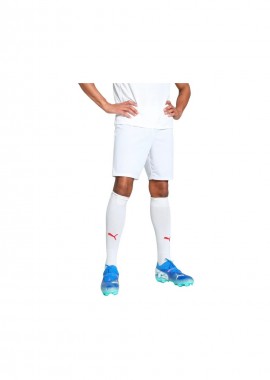 Puma - Puma Team Goal men's shorts white 705752 04