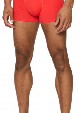 Urban Classics - Organic X-Mas Boxer Shorts 3-Pack Urban Classics TB4503-03284 nicolaus aop+treegreen+popred