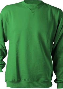- Μπλουζάκι με μακριά μανίκια REMO (TOURS) Stenso Green
